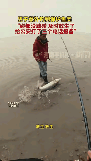 江西，一小伙好不容易钓了条大鱼，拉近岸边一看，却吓得赶紧放生，原来它和中华鲟长的