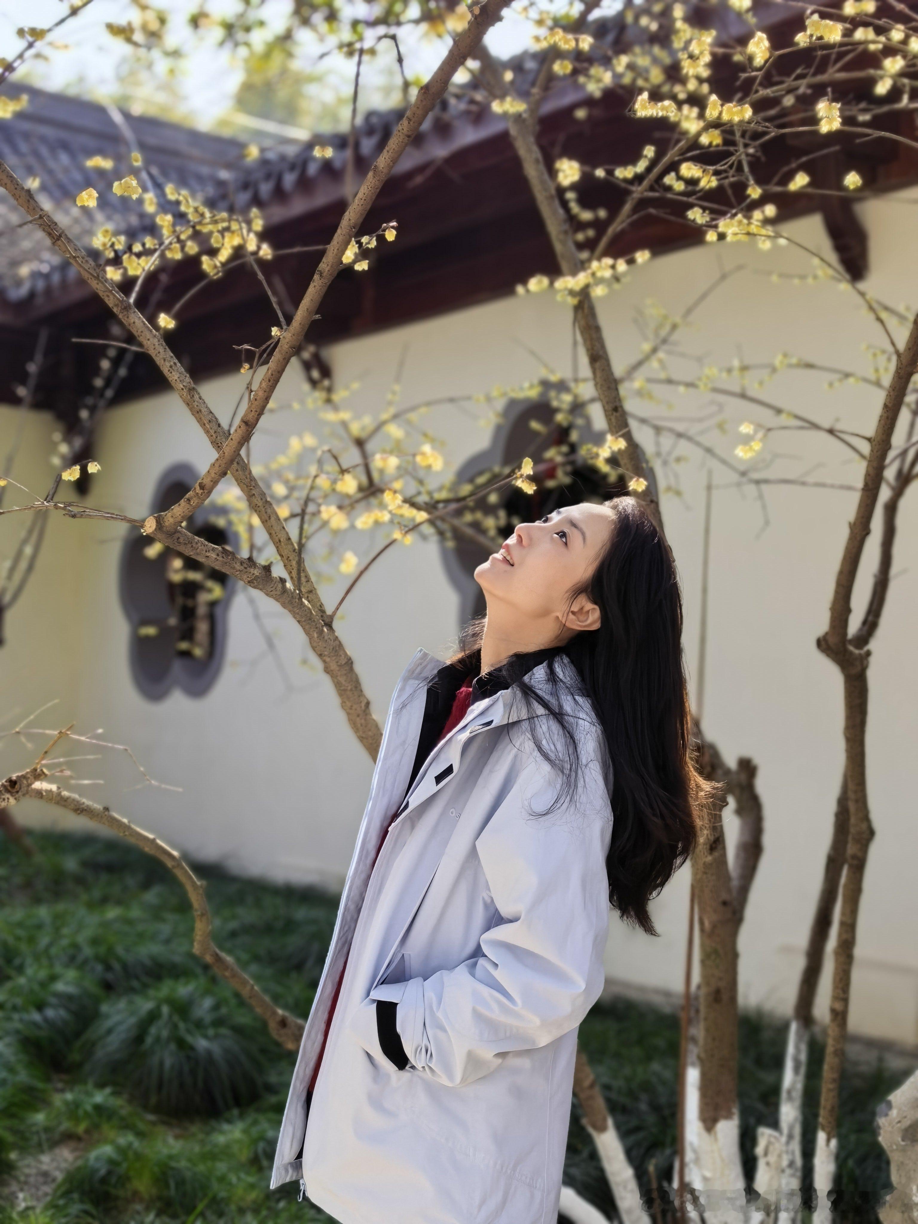 “待到山花烂漫时，她在丛中笑。”走吧，出门晒太阳，梅花盛开了