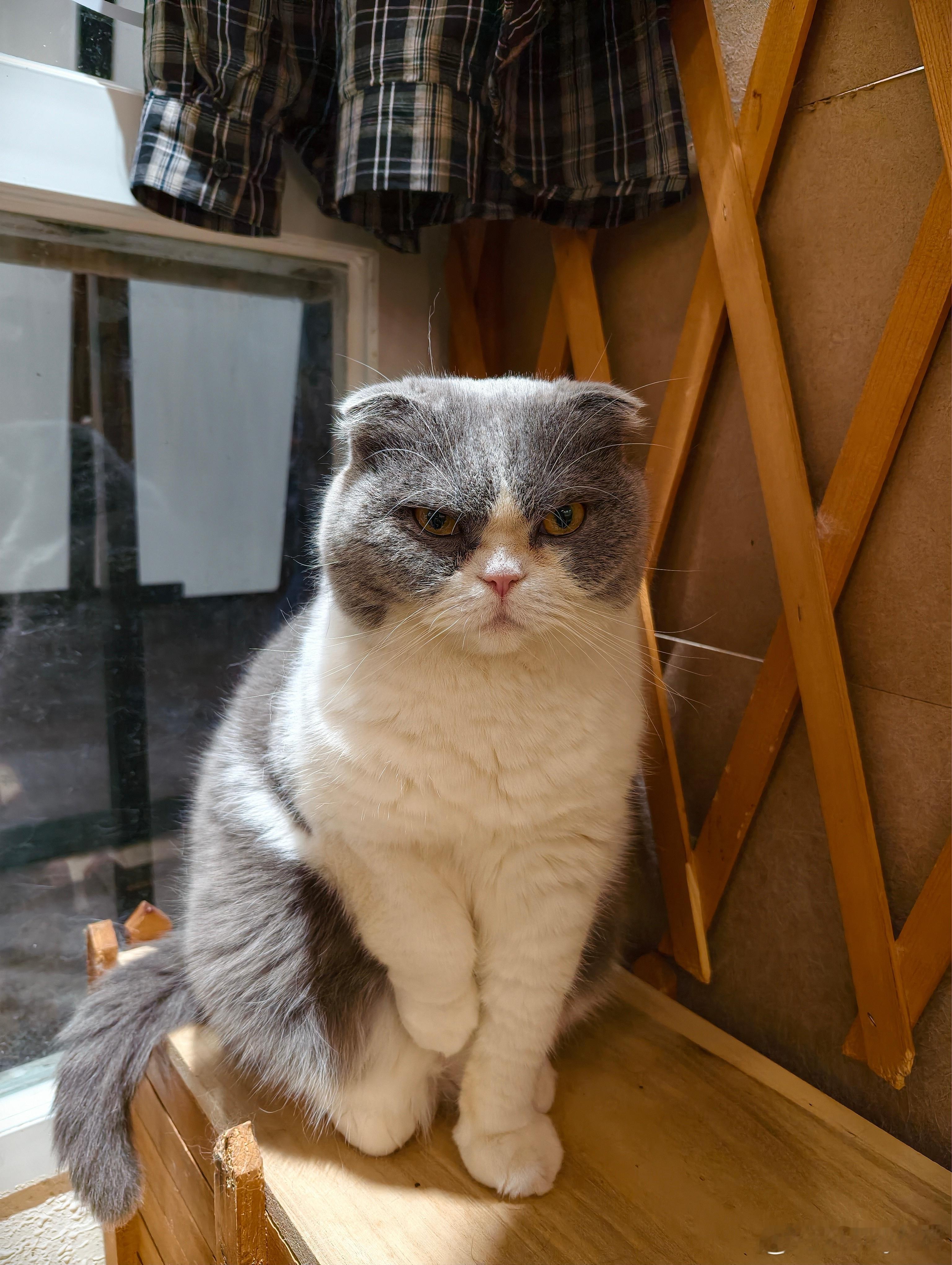 听说现在小孩已经不流行早恋了现在的小孩早恋是会被鄙视的程度同学会觉得你是恋爱脑时