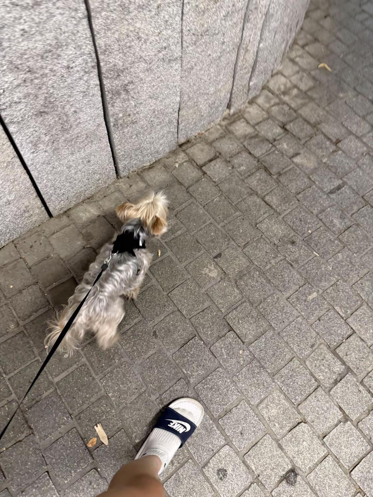 最后一张喜欢的人。