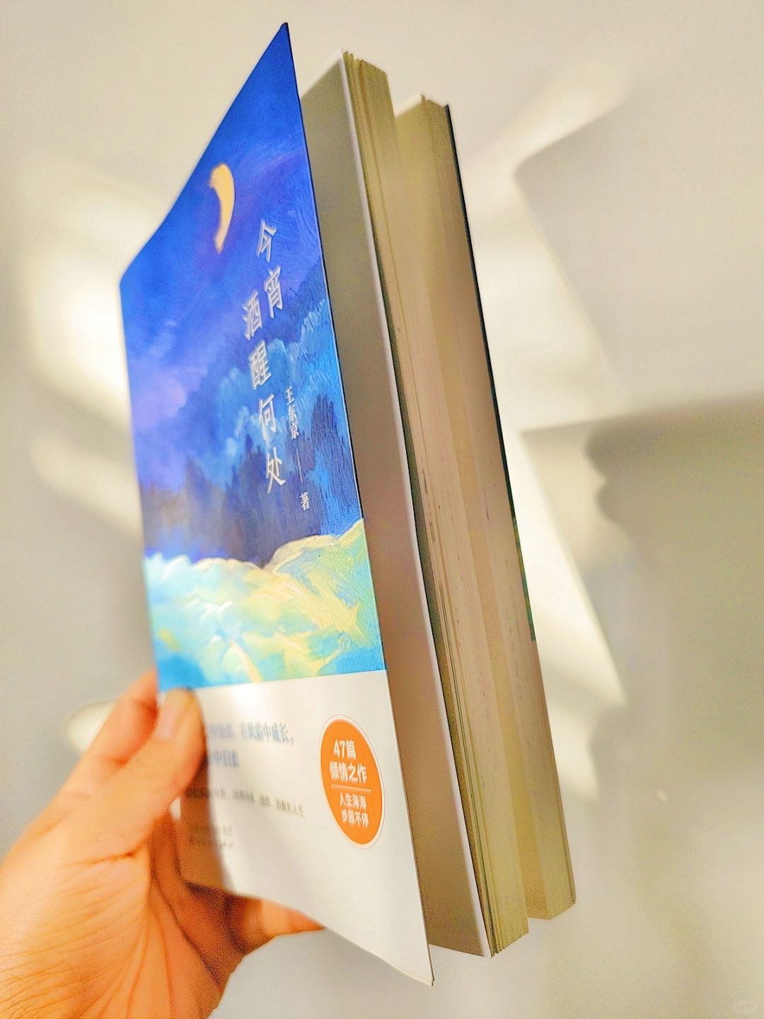 细腻❗温暖❗治愈了我一整年的疲惫！