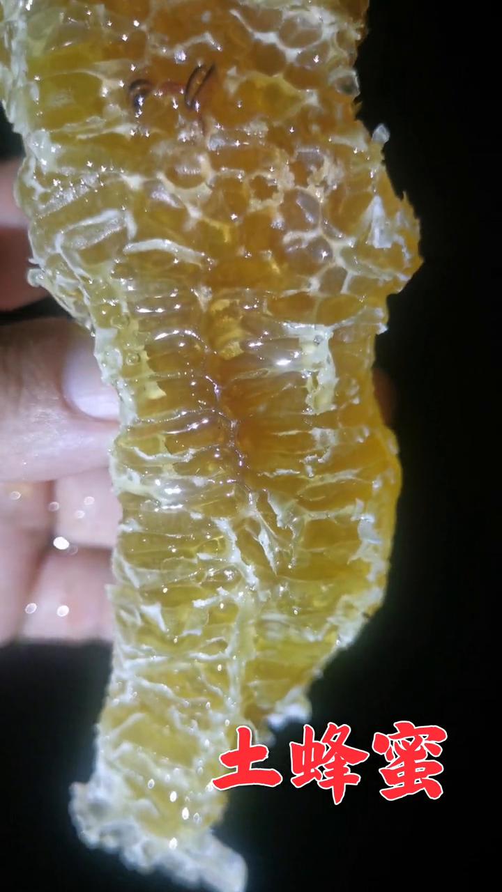 土蜂蜜。
就这种蜂蜜，这种蜂巢，你想不想咬一口？想不想咬一口？绝对香。甜不甜？甜