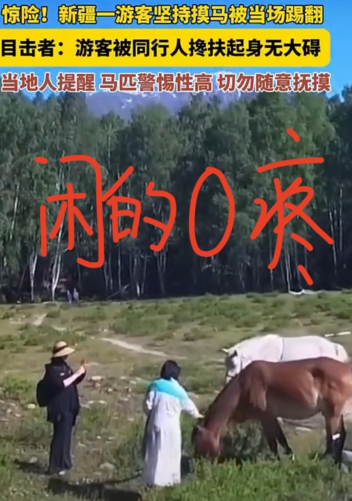 真的是闲的0疼！没事你非摸人家马干什么！岂是你摸就摸呀！白马一个后踹把女子踢翻在