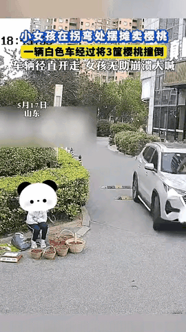这个明明是家长监护不到位，怎么就成驾驶员的错了呢？
就看这个位置，有哪个驾驶员能