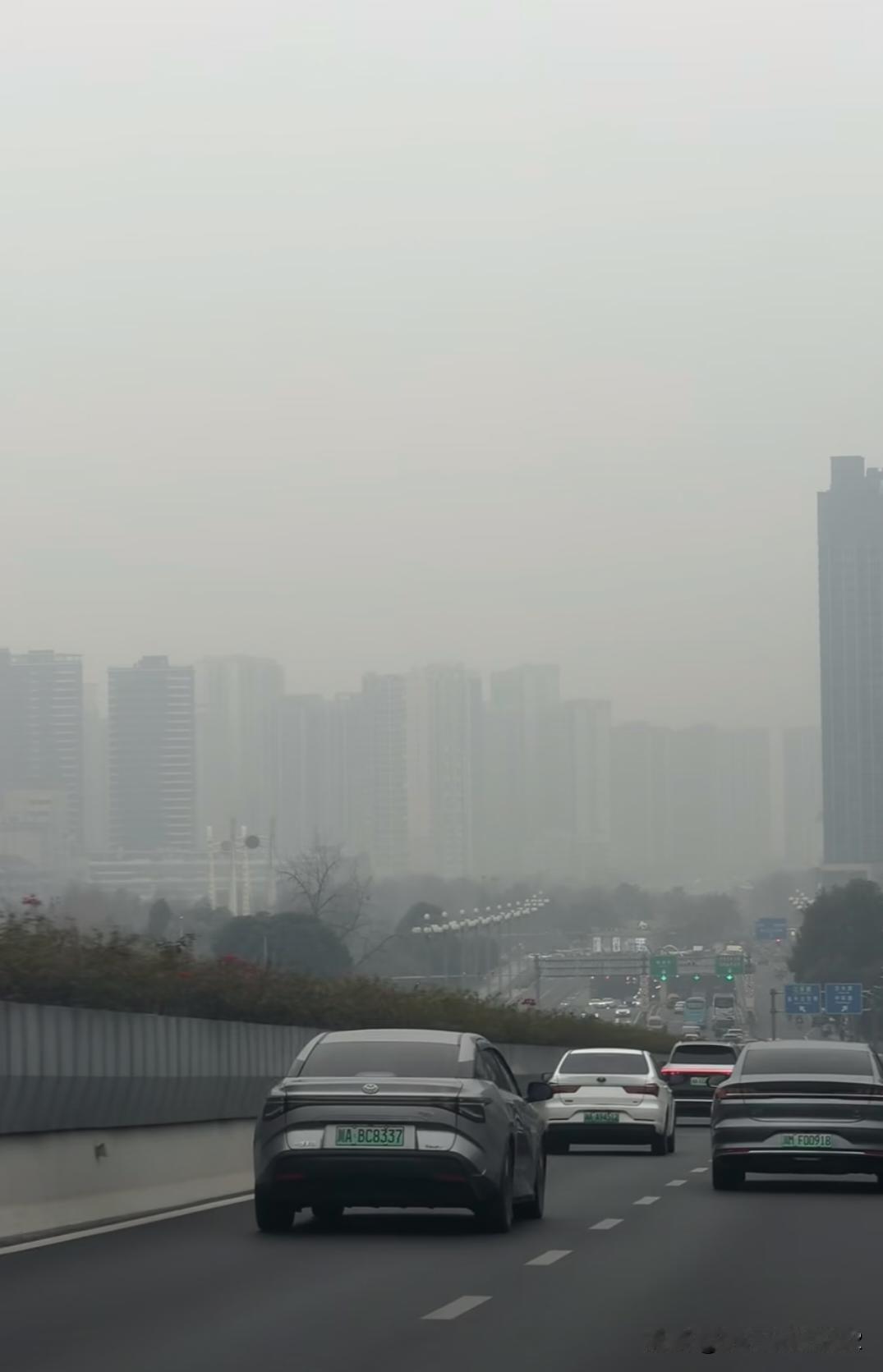 成都的冬天太致郁了，这雾霾！
    客厅窗户没关严，平时关着纱窗拉着窗帘的，今