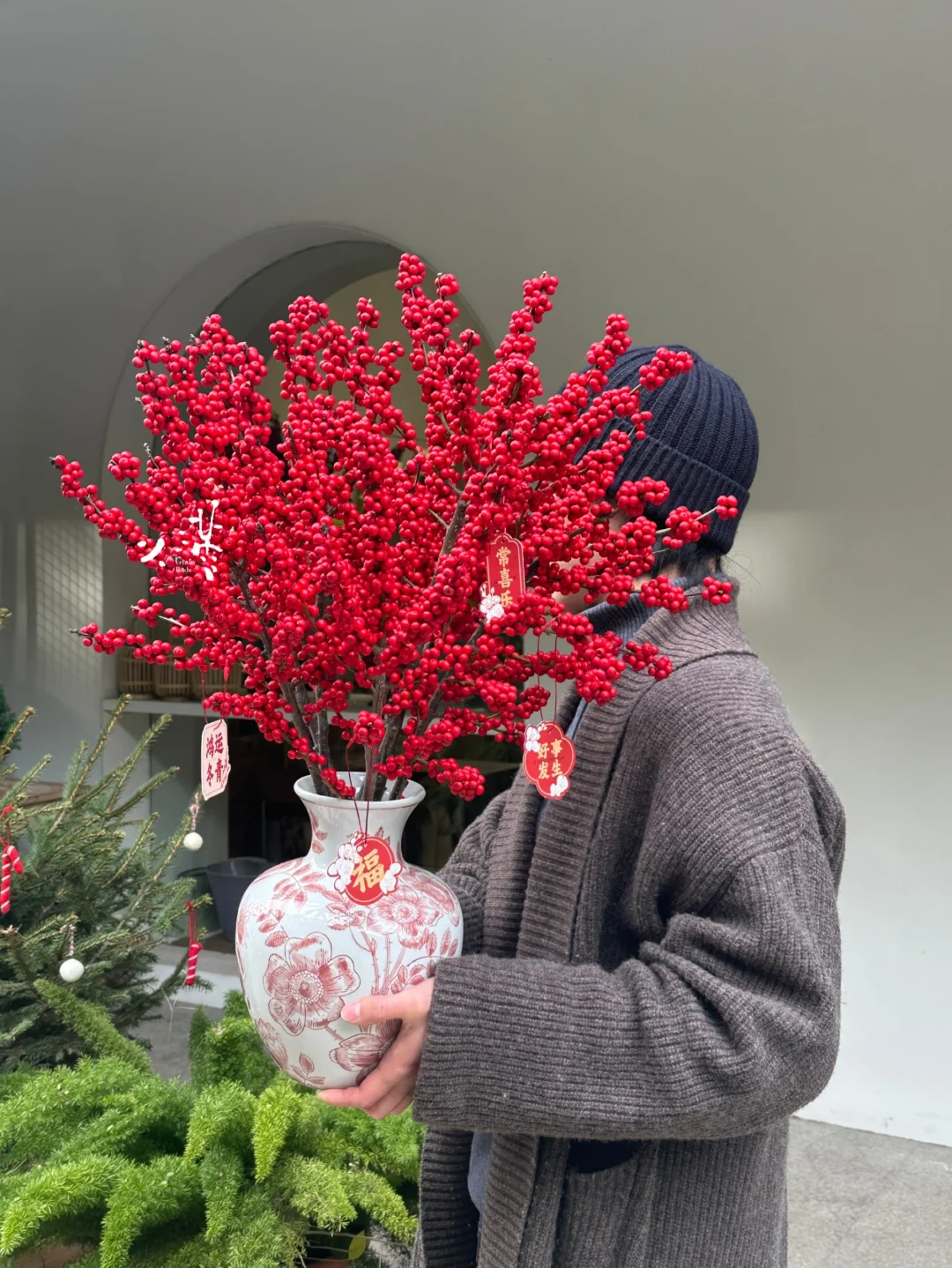 红红火火过新年｜状元红冬青