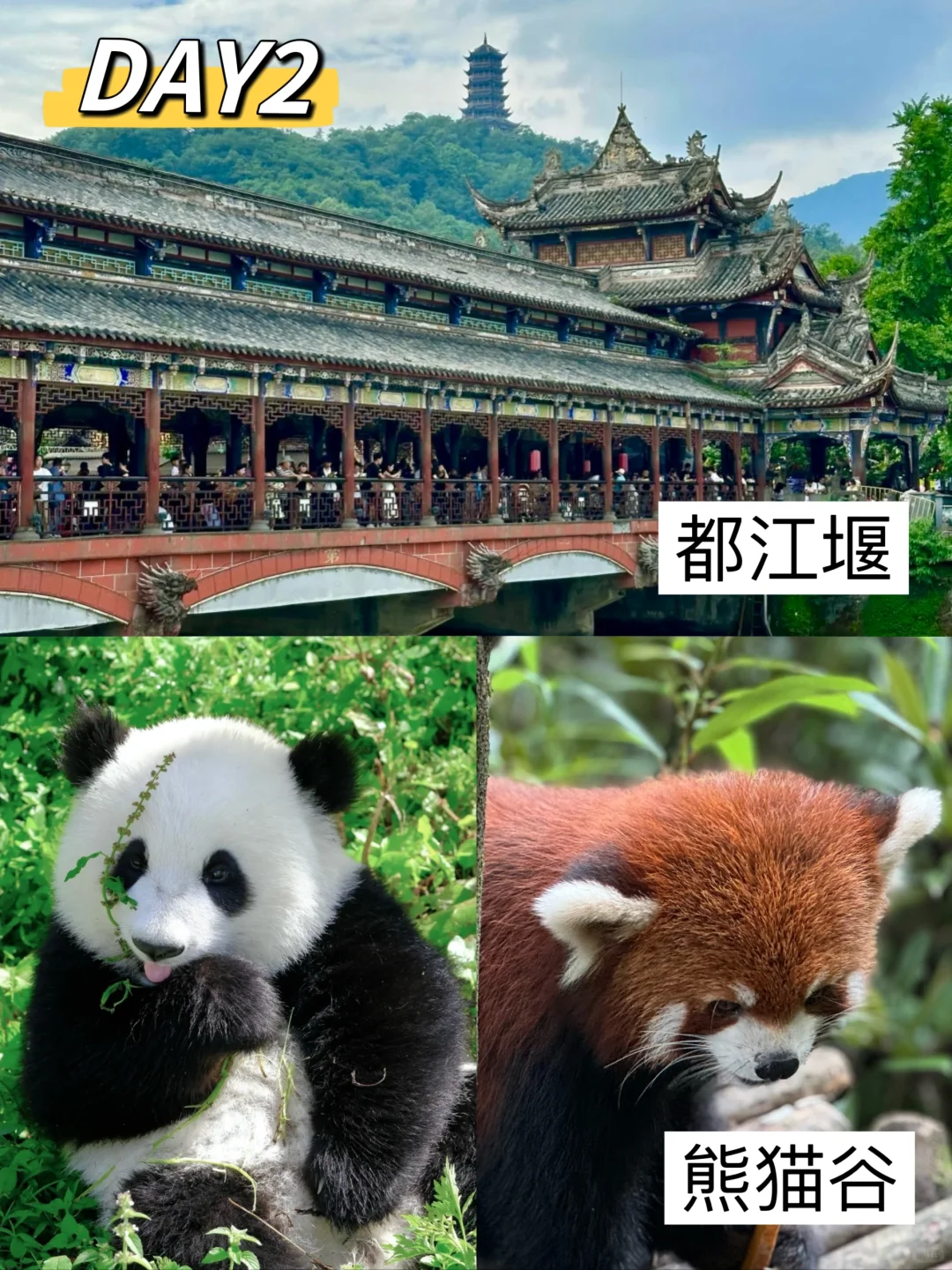 不费妈❗超轻松❗成都这条路线被问爆了❗❗