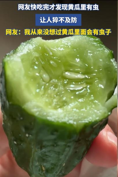 女子为了有个好身材，买了一堆黄瓜，结果，快吃完才发现黄瓜里，竟然有虫在蠕动，让人