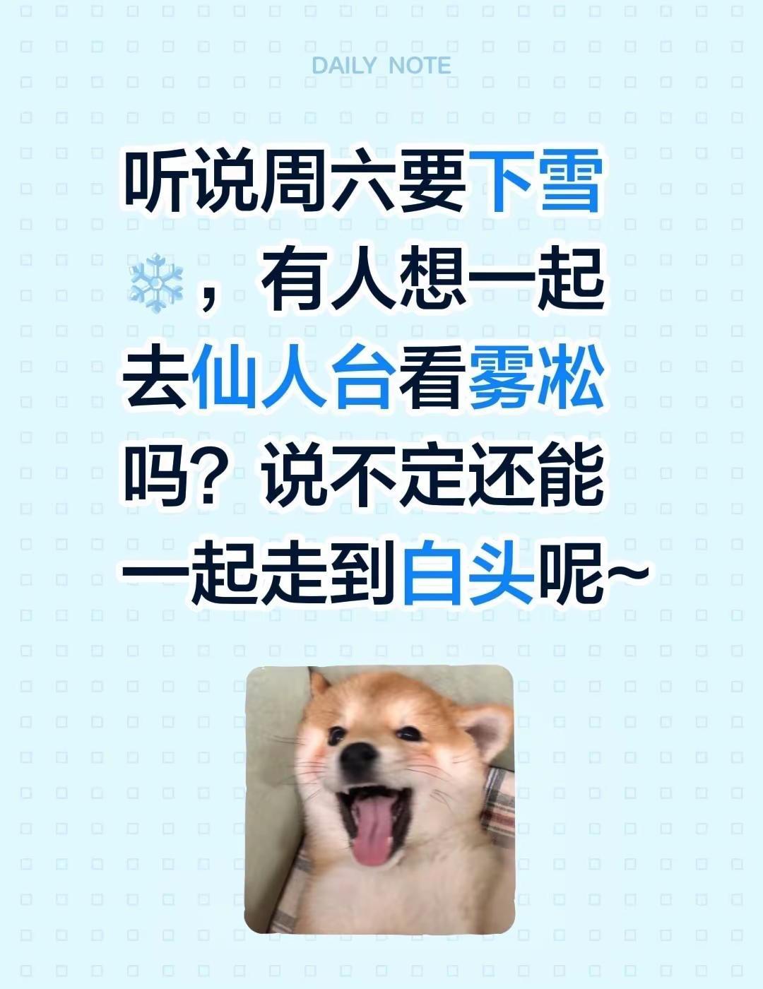 10号周六仙人台去不？