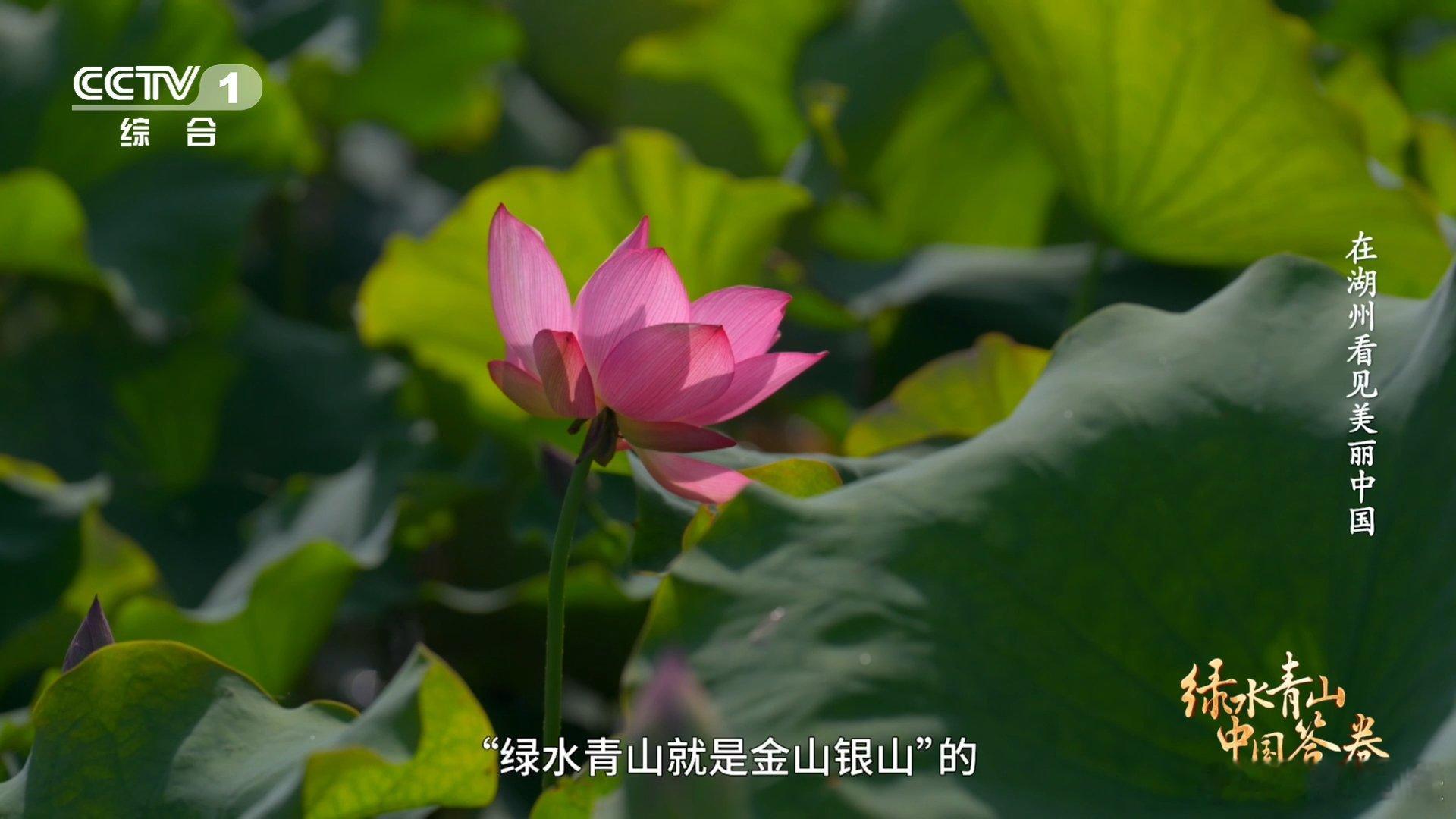 打卡绿水青山就是金山银山理念诞生地余村这绿色发展路线，太牛掰啦！旧厂房成功转型，