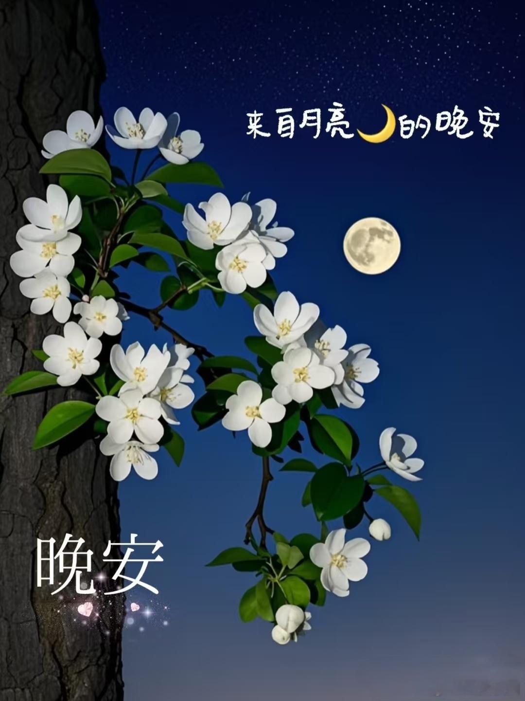 小西晚安 星子落满操场，风轻轻合上教学楼的窗，晚安呀，做个关于明天的甜梦~🌙（