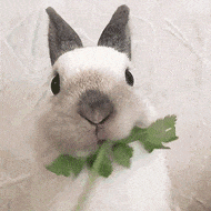 ⭕ 【盘点以「历史」为背景的剧小合集】（造型盘点备用）▷1 夏朝：网页链接▷2 