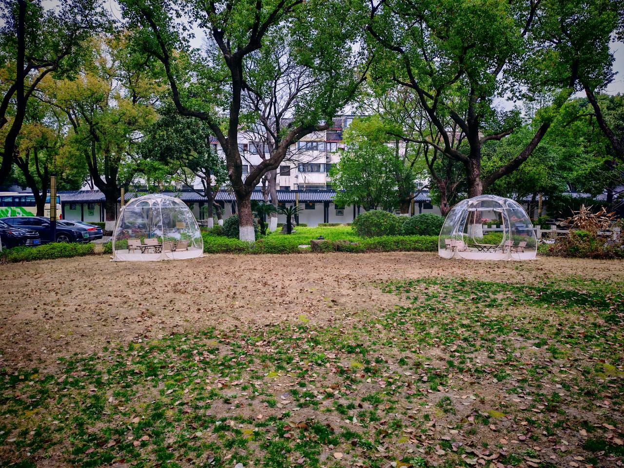 天南地北大拜年