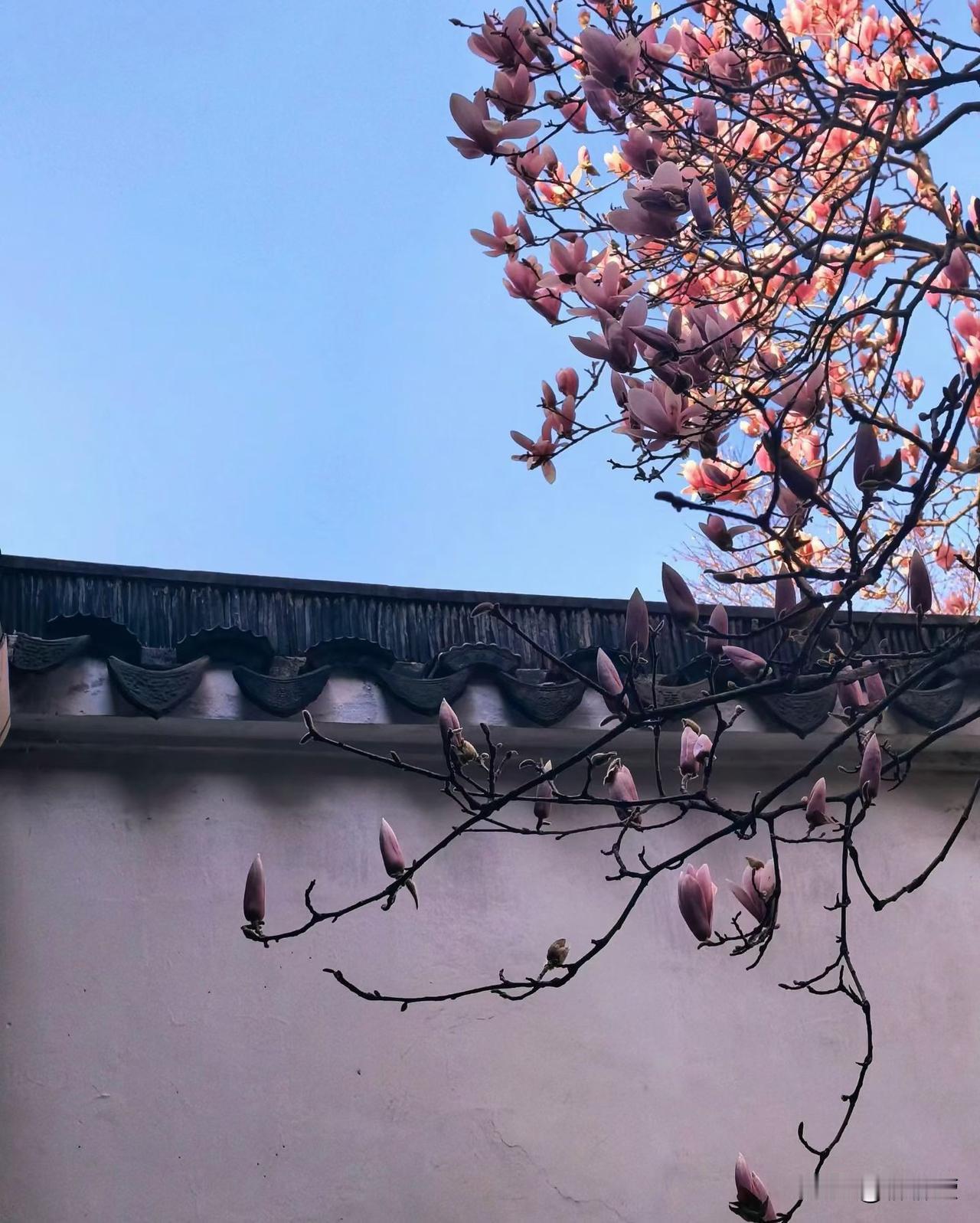 最幸福的老年人有8个标准 
看看你达标了没有？

第一个：有退休金。 钱是老年人