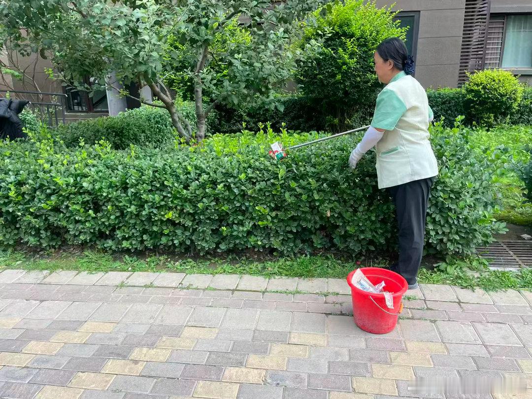 我们小区保洁阿姨这是在干什么呀？ 