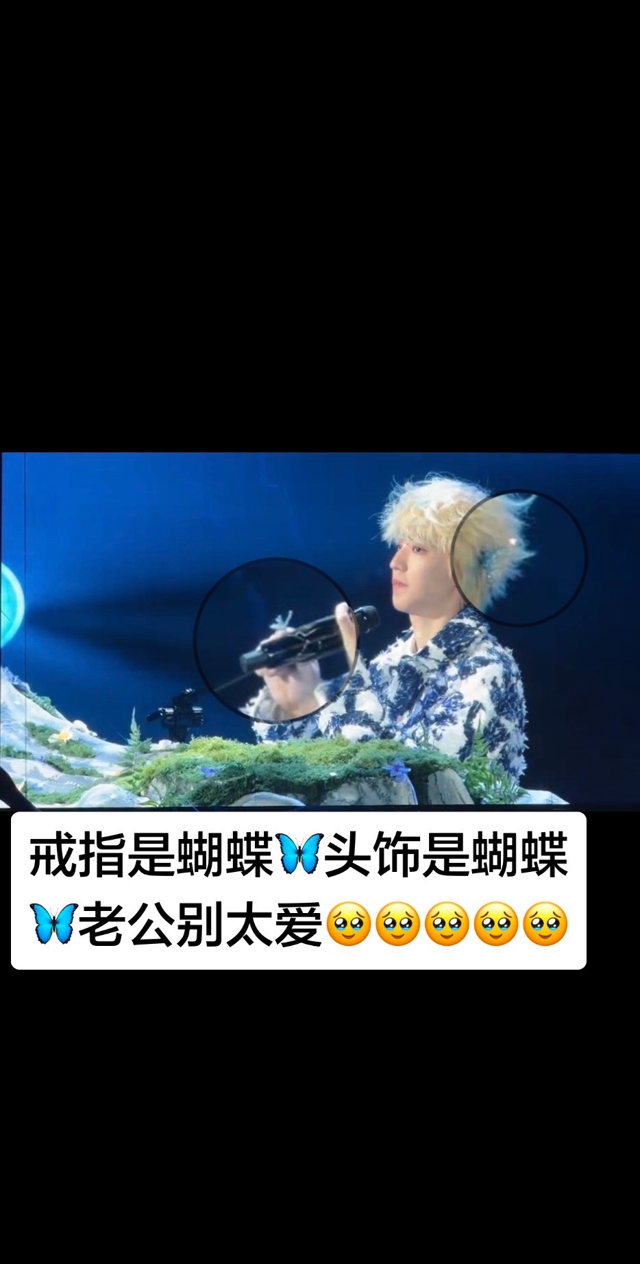蝴蝶🦋