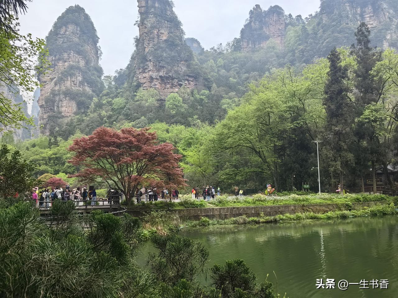 发一张图片看看你们的人间仙境