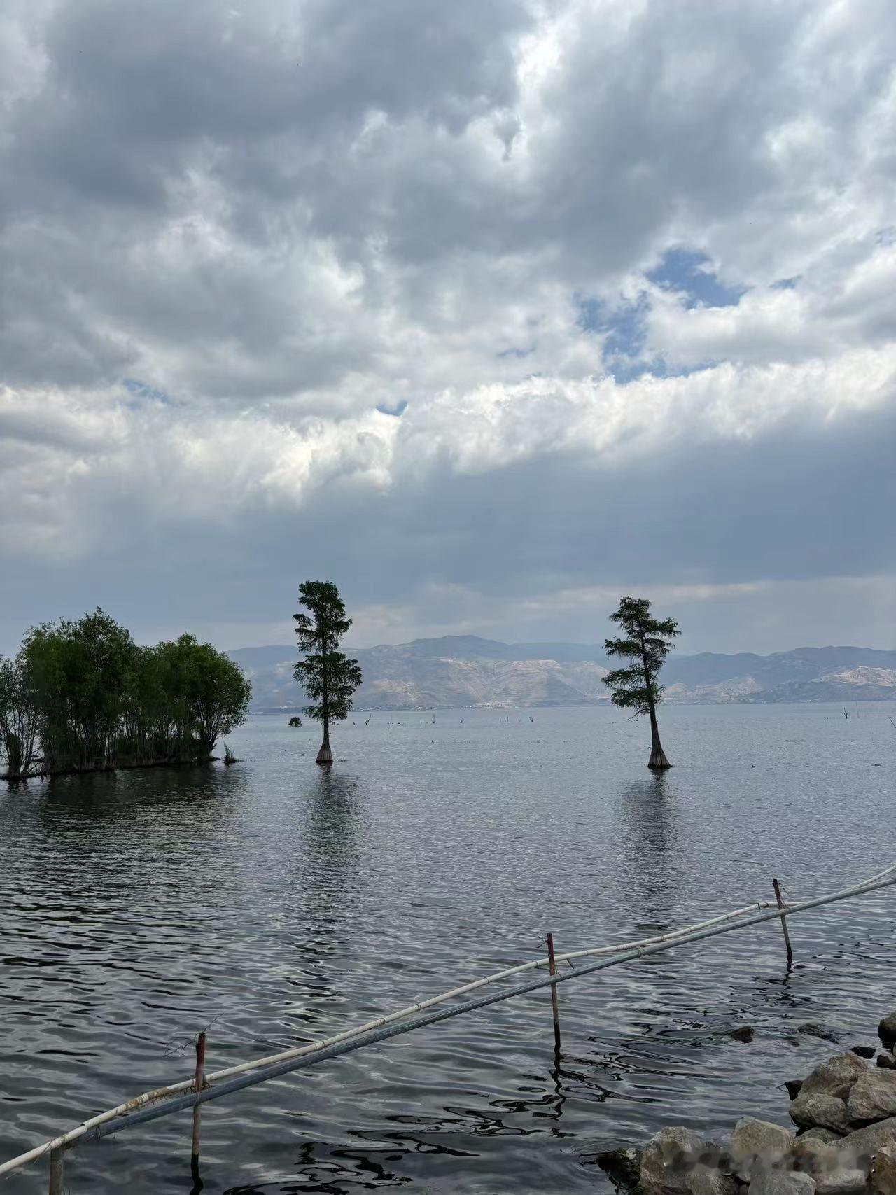 能否发表一句今生感悟但凡让你顾全大局的，那你一定不在大局里；但凡让你不惜代价的，