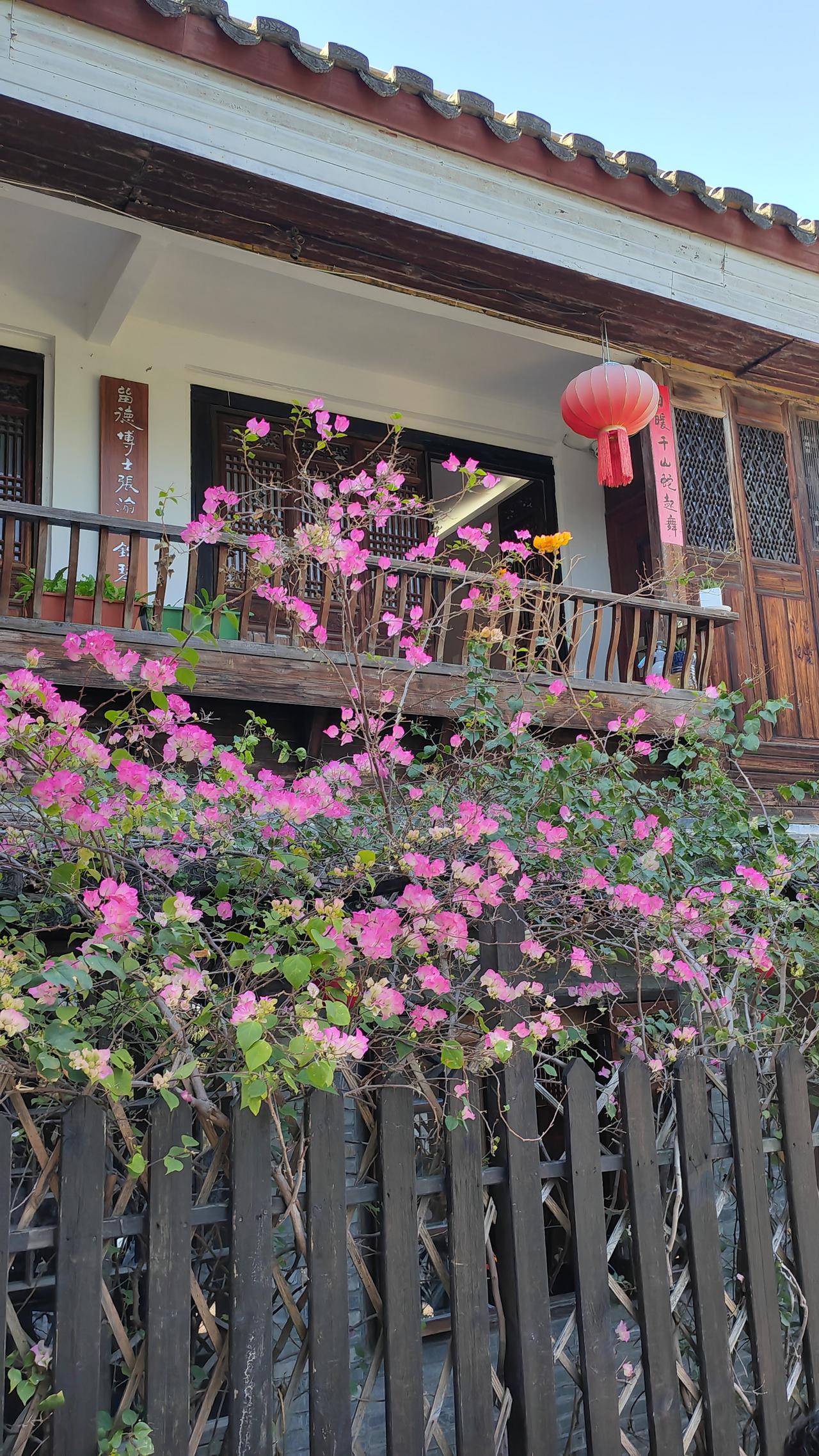 黎明湖公园的湖畔，一座中式小楼静静伫立，不知名的繁花肆意绽放，将春日的浪漫气息揉