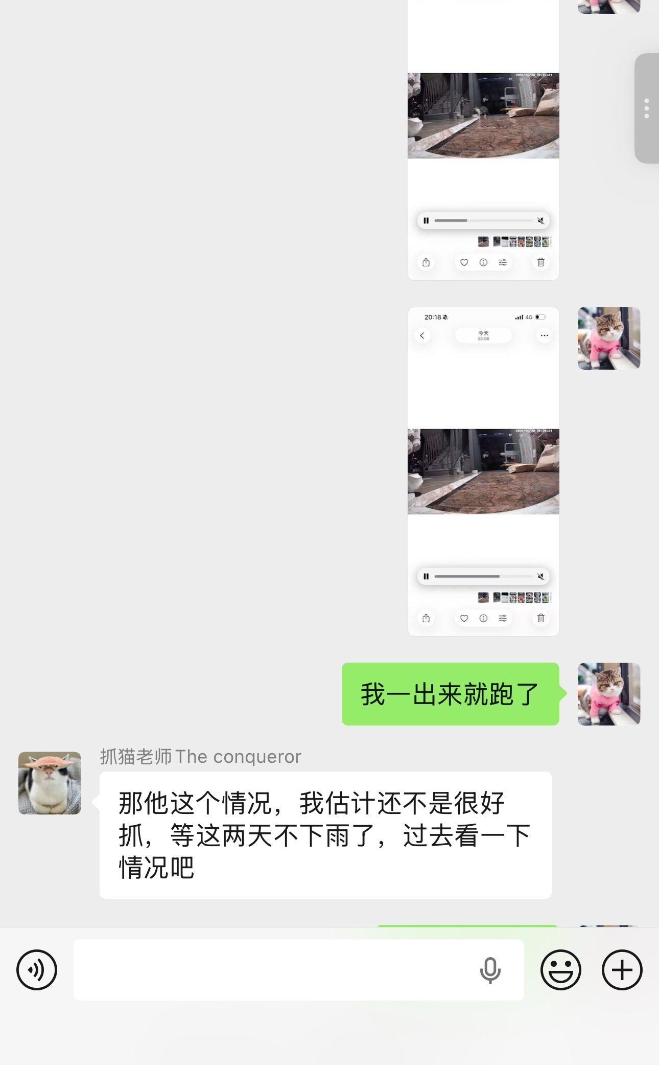 小孩太机灵，几次都没能挨近它，为了他能一直来，先不抓了，等老师来。ai宠出道计划
