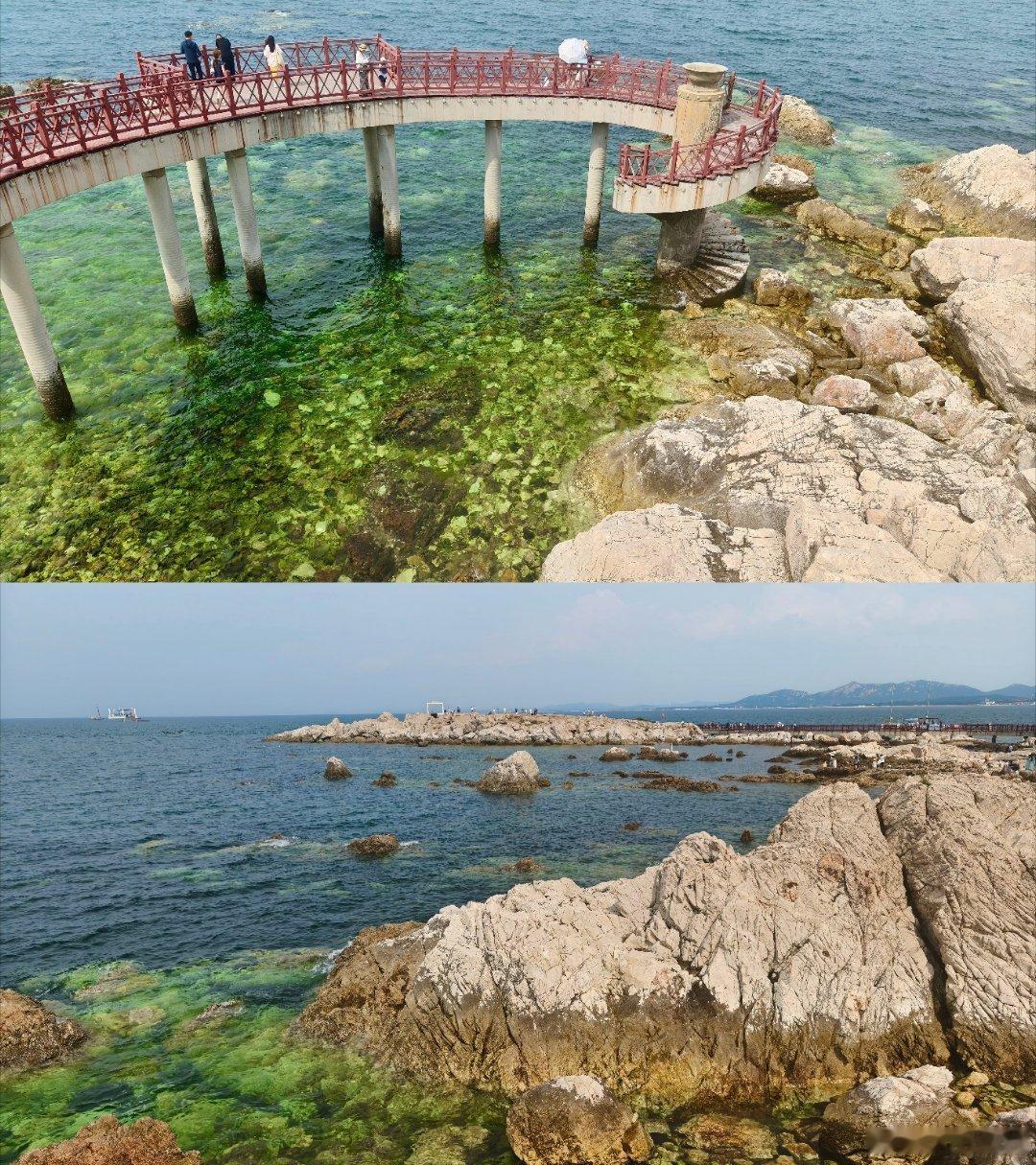 分享图片 