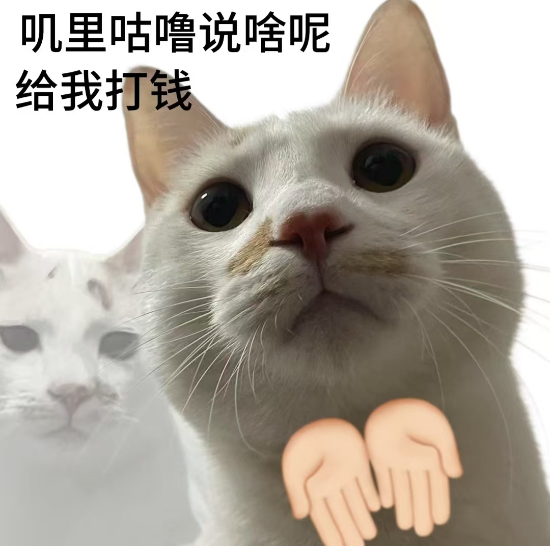说爱你一辈子，其实没几天就腻了。说钱下个月还你，才是真的一辈子 ​​​