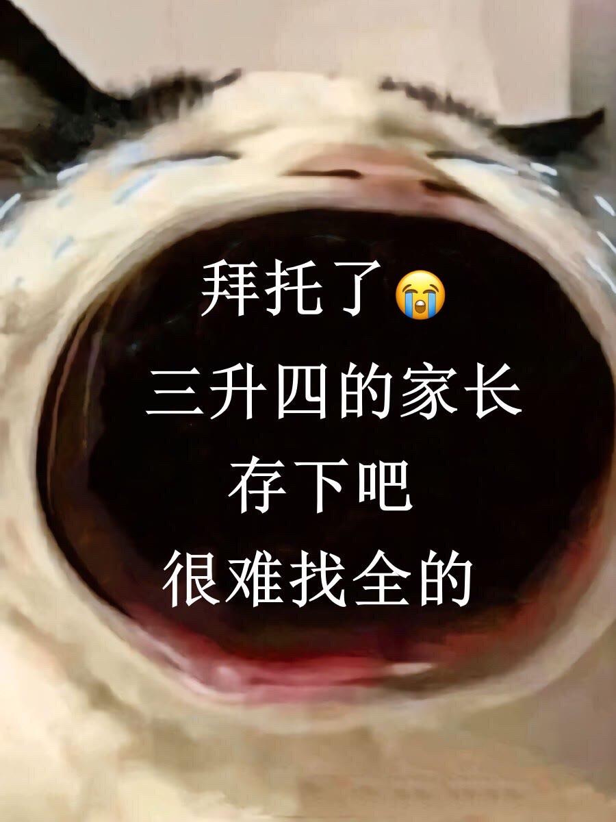 四年级上册语文课文内容重点知识归纳‼️。老师整理出来了，涵盖了全册课本...