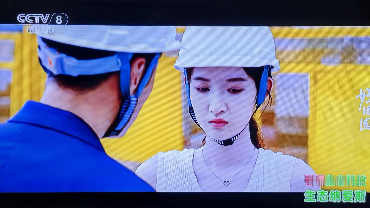 #好团圆：说句实话，向南年轻见识少，太不懂事。江宏斌让她做个艺术品，送给生意上的