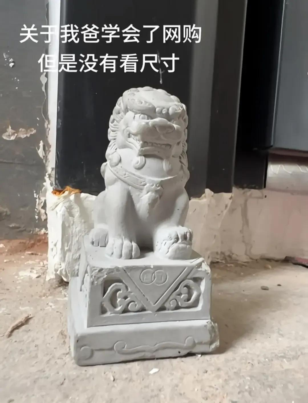 我爸学会了网购，买的石狮子到货了，就是没有看尺寸！[笑哭]