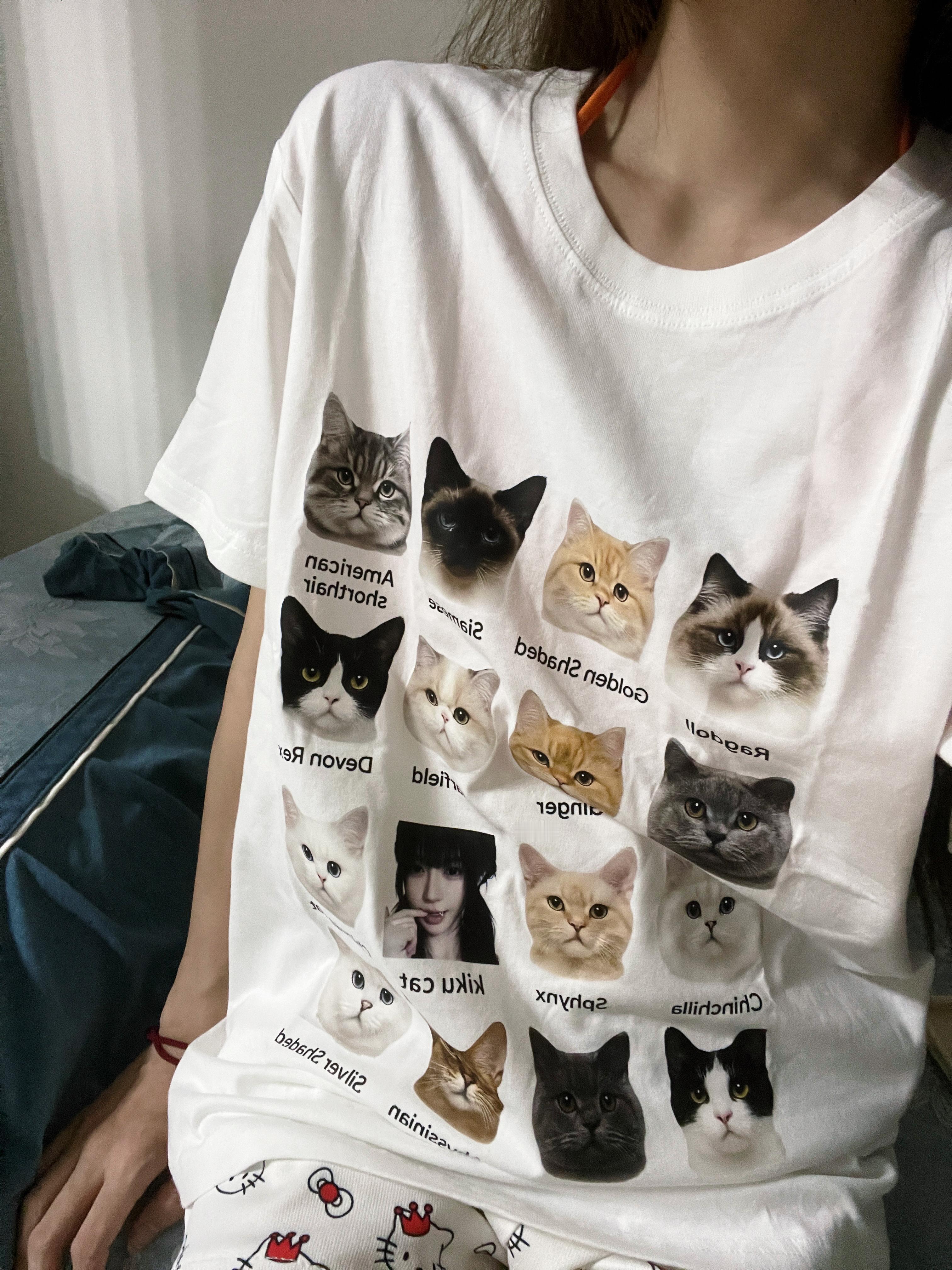请问图中有几只猫🐈 