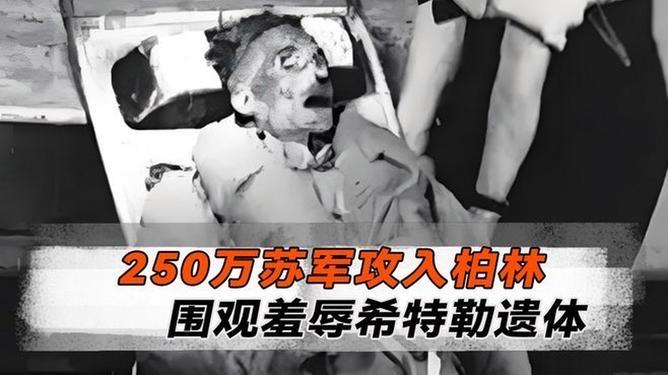 希特勒死亡真相的最终确认，不只是给一段悬而未决的历史画上句号，更是给所有试图为纳