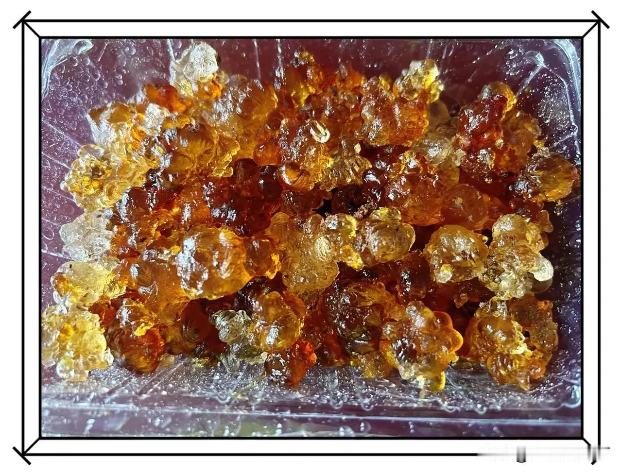 桃胶挂枝干
晶莹剔透亮
一场及时雨
透心凉！
心舒畅！
你知道桃胶的价值吗？
欢