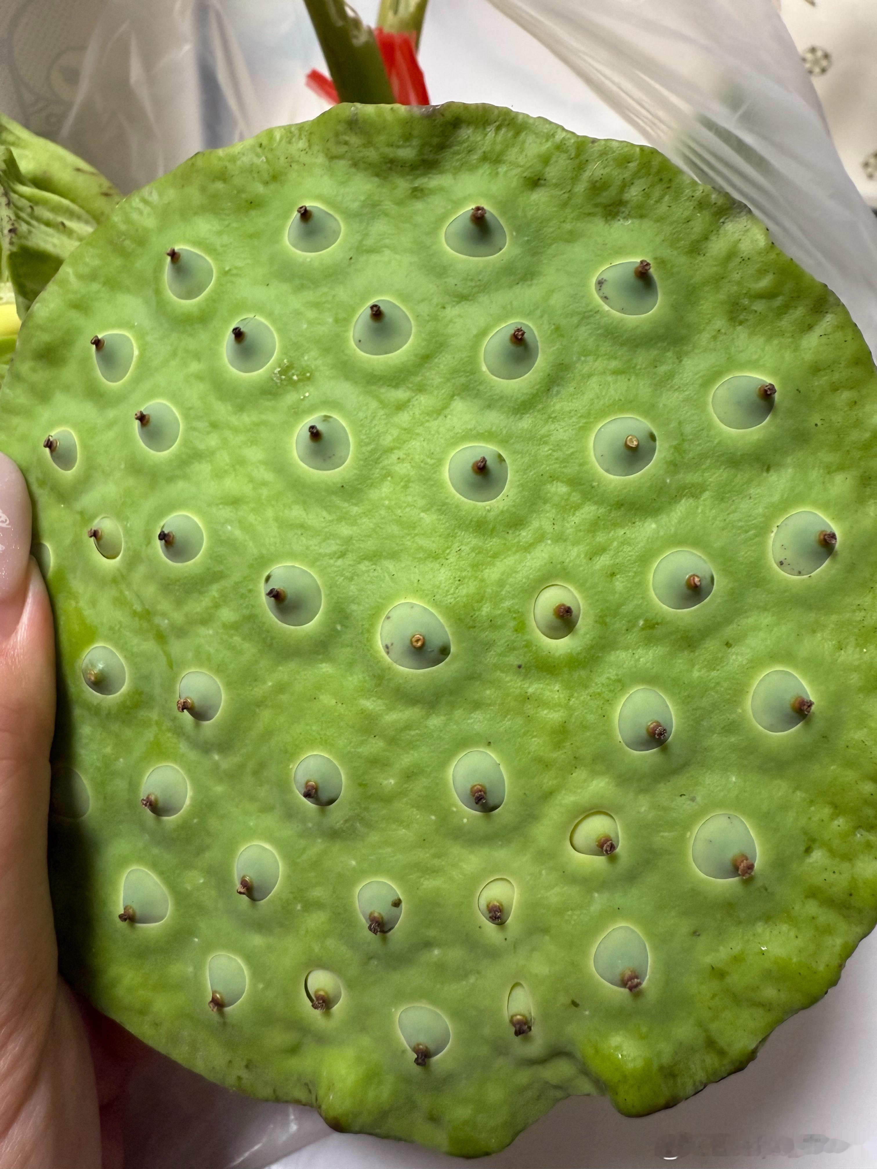 这是我夏天最爱的水果 