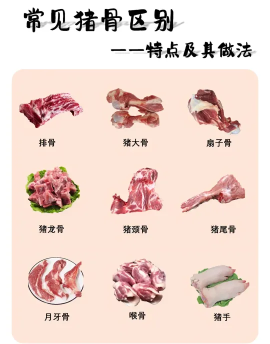 必看❗ 常见猪骨区别大揭秘，附神仙做法✨