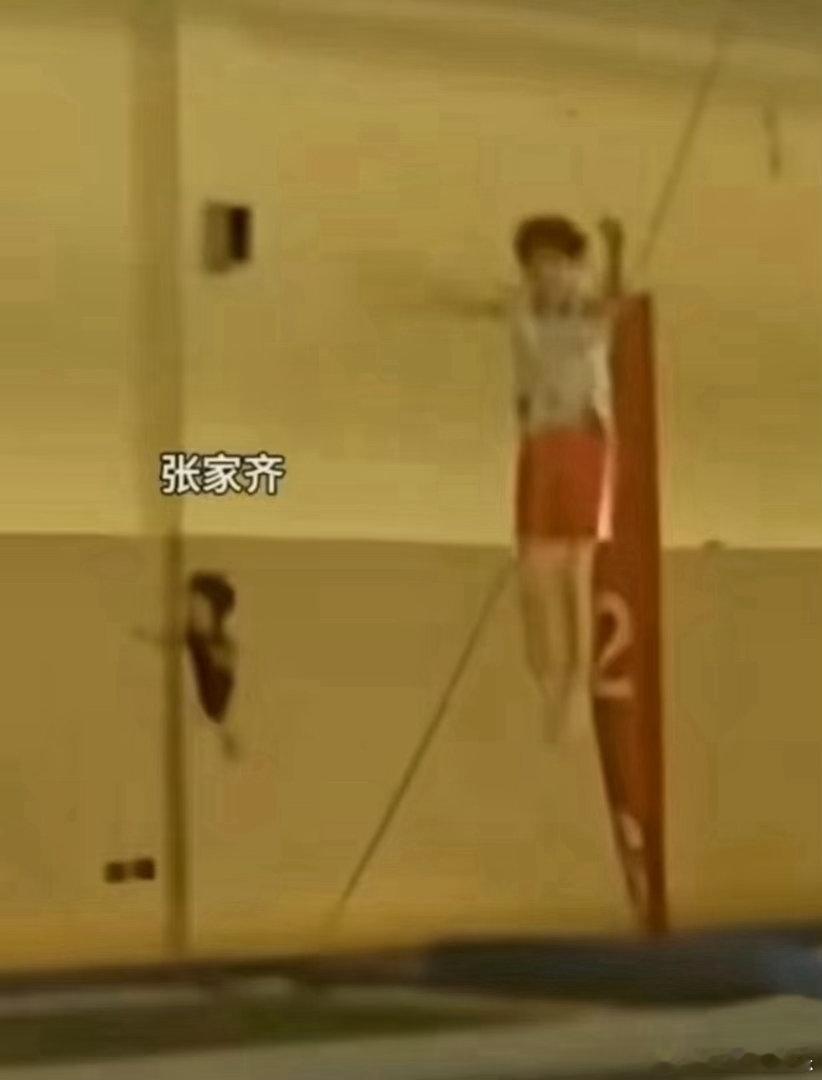 左边的小孩才是张家齐张家齐这张图好震撼 张家齐这么小就被妈妈送去训练了，真的就一