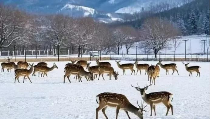 工作中情绪化可太要不得，但咱也不能没脾气。很多人觉得工作就该忍气吞声，其实不然。