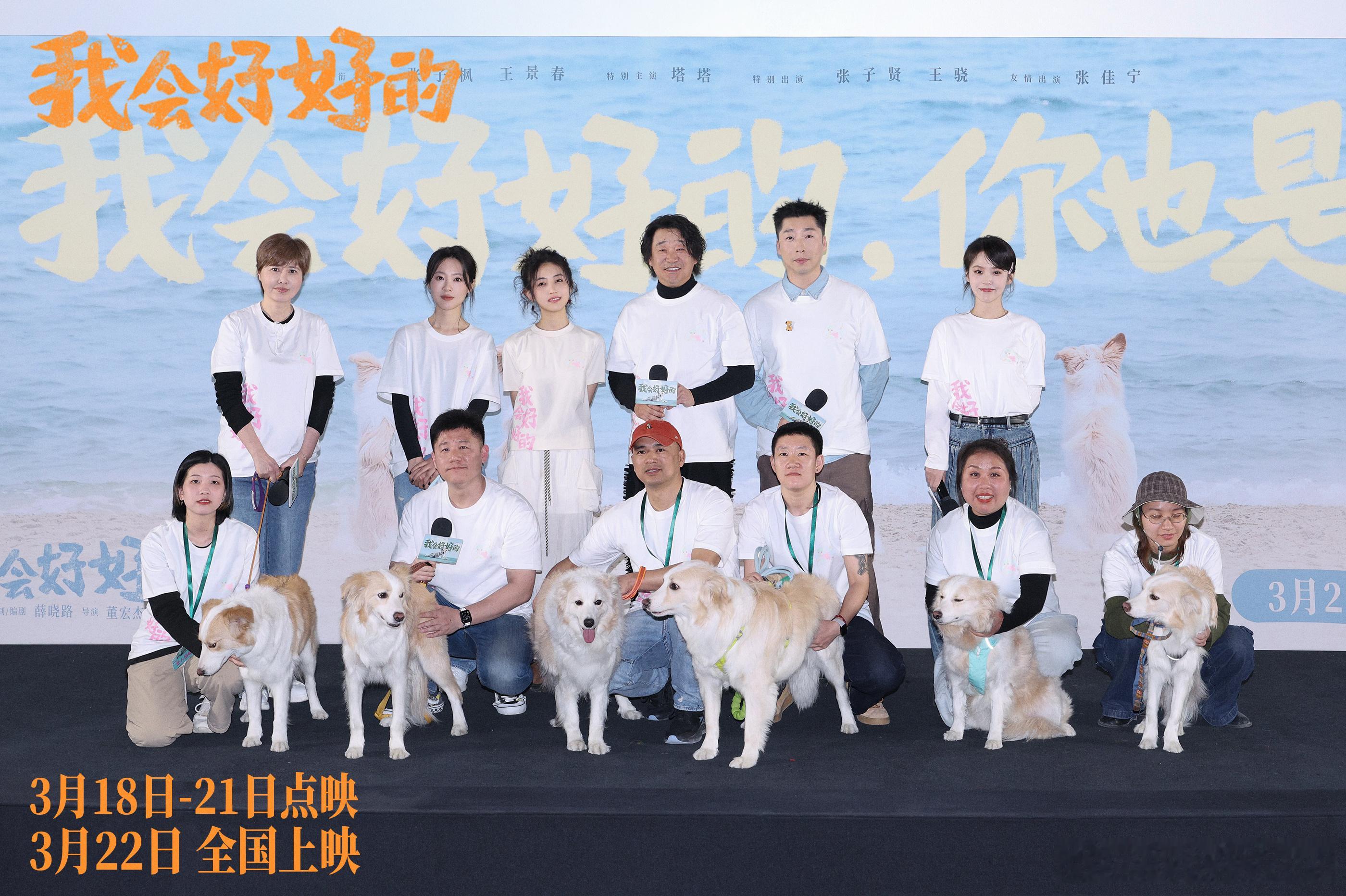 我会好好的预售开启 张子枫新片《我会好好的》北京路演反响热烈，薛晓路、董宏杰、张