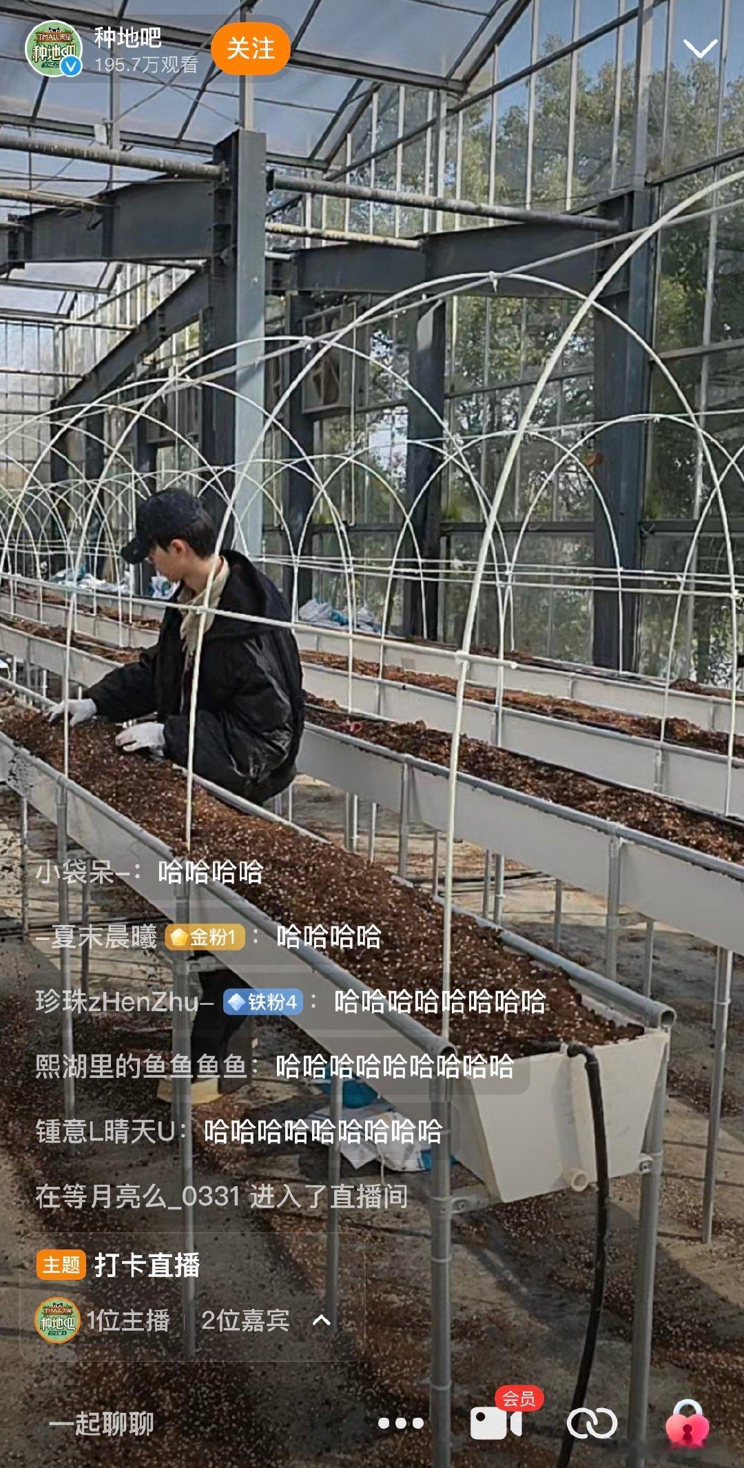 种地吧早上好  种地吧又是熟悉的打卡直播  早起看直播，已经成习惯了，就盼着看他