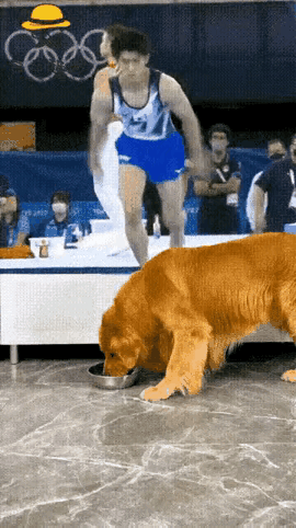 狗狗:  招你惹你了？赔我饭碗。