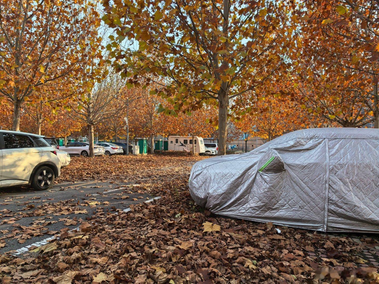 有个大胆的猜测，这房车是不是住这里了