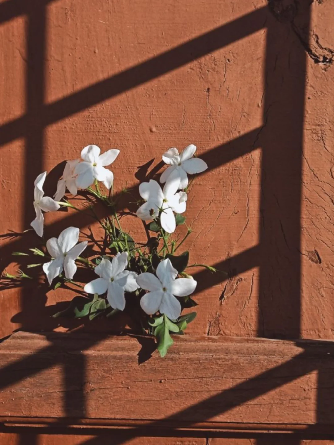 什么叫作白花香型？