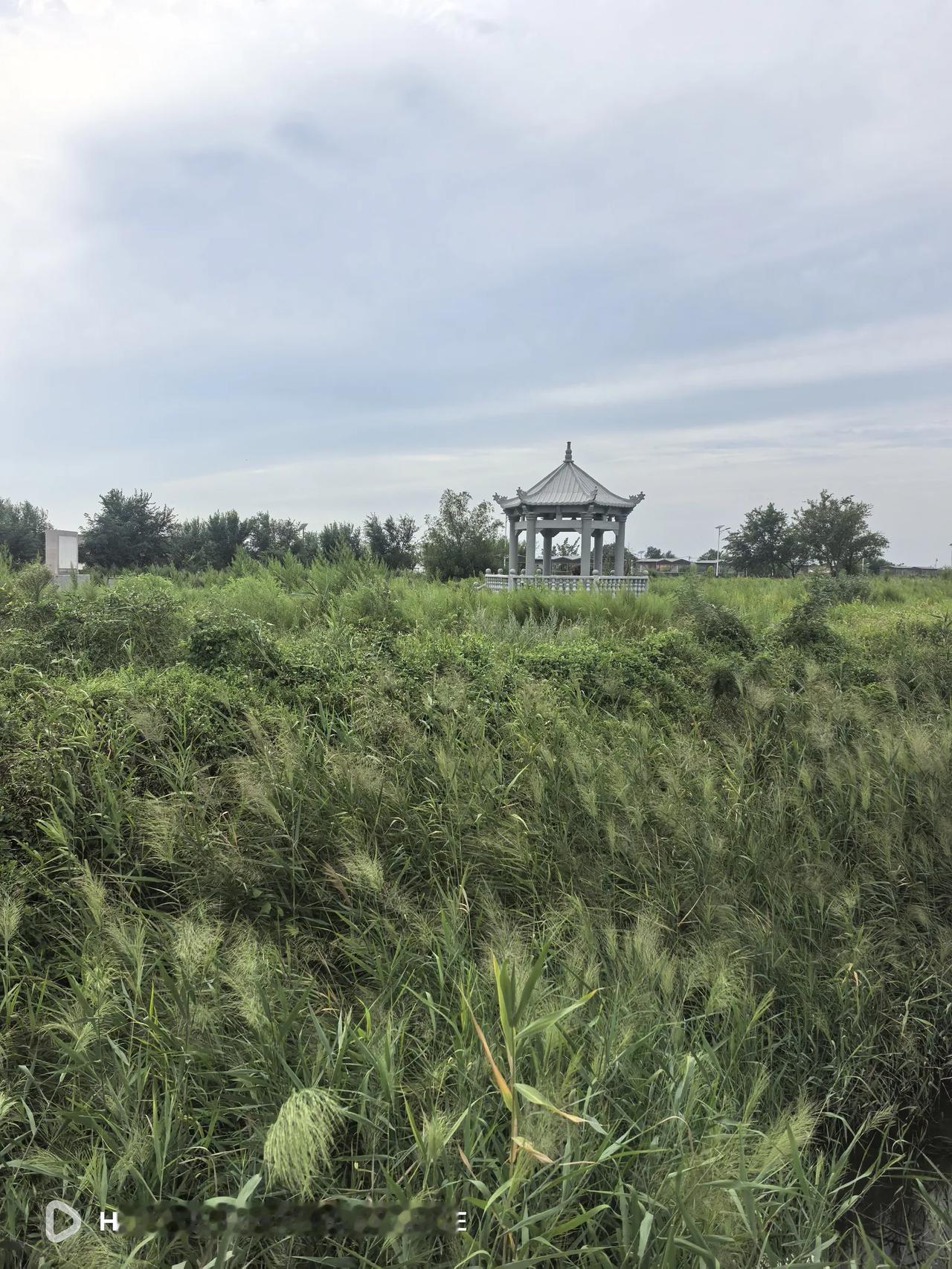 带外孙去黄骅黄金海岸，回来的途中顺便去看了一下黄骅古贝壳堤。我们导航去的是赵家堡