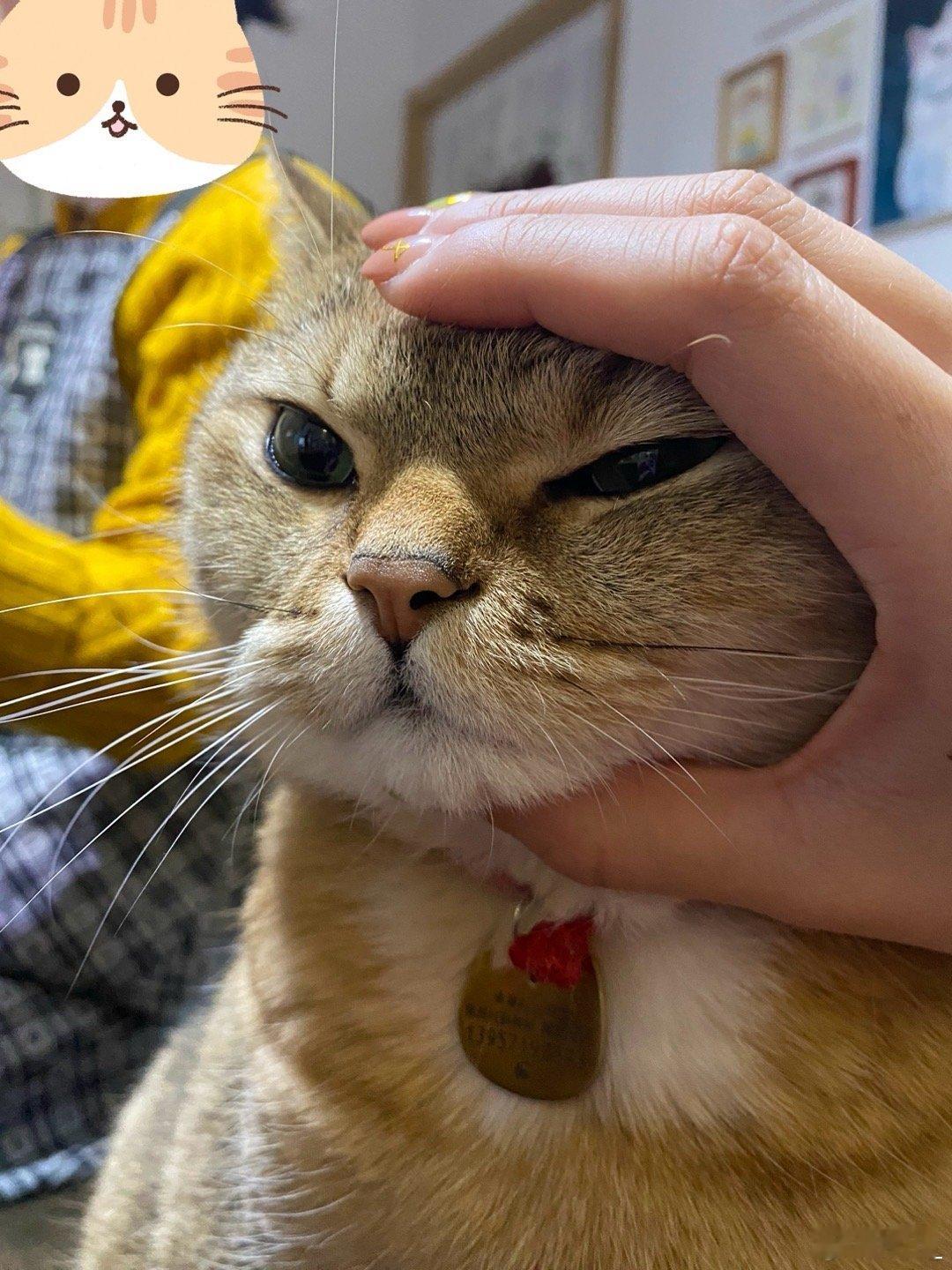 拿捏 