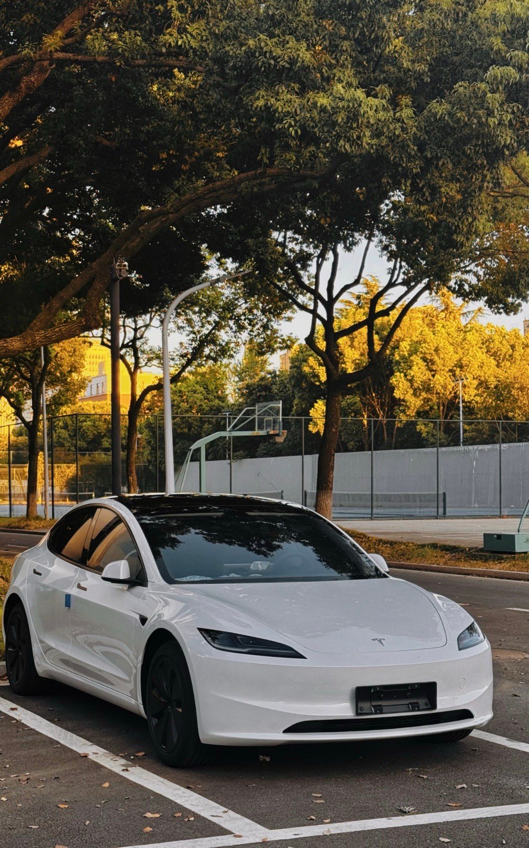 之前某平台的“9.9万特斯拉”广告，估计很多人都耳熟能详了。但是真要是说10万元