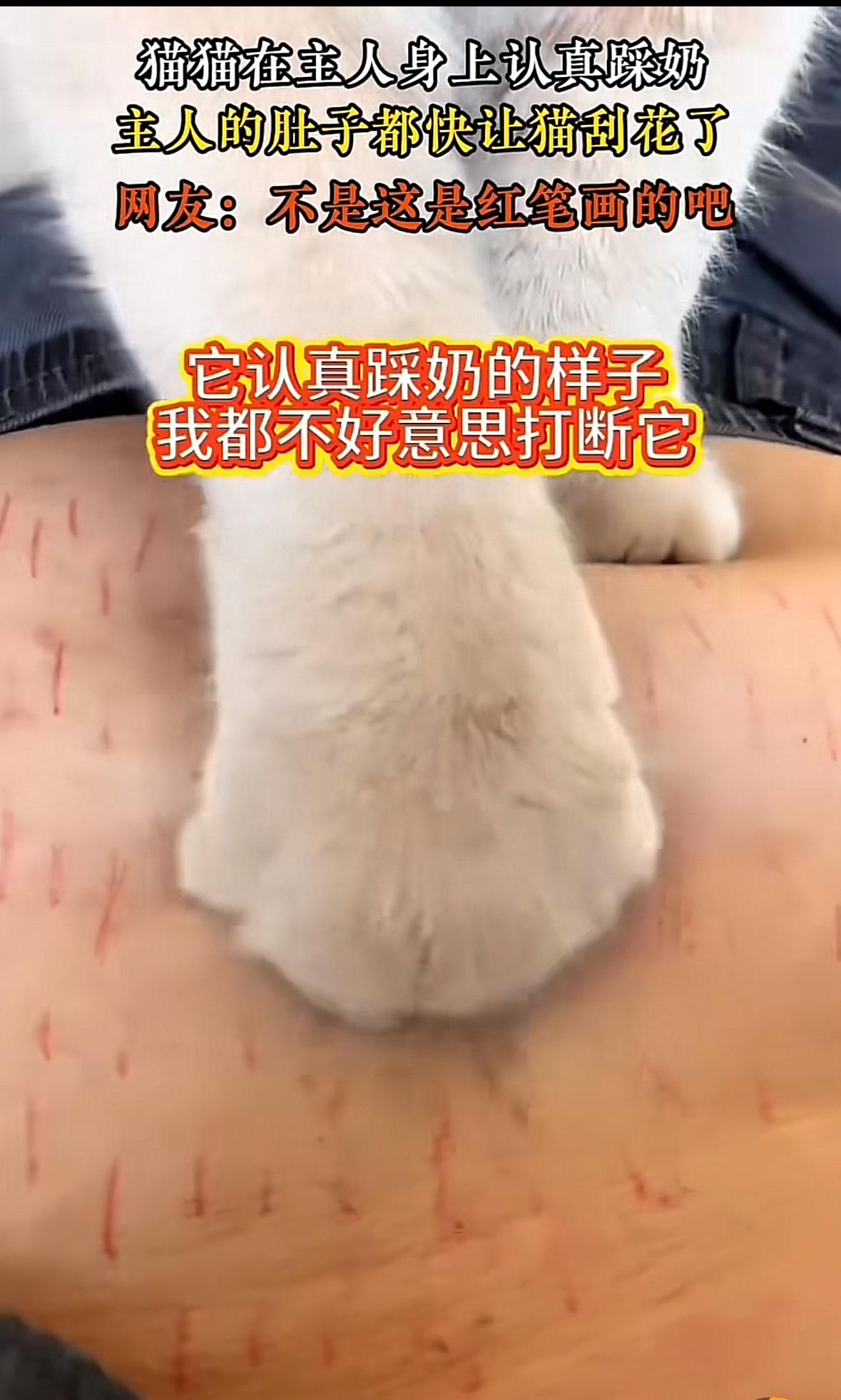 宝子们，你们说呢？这是红笔画的吧。