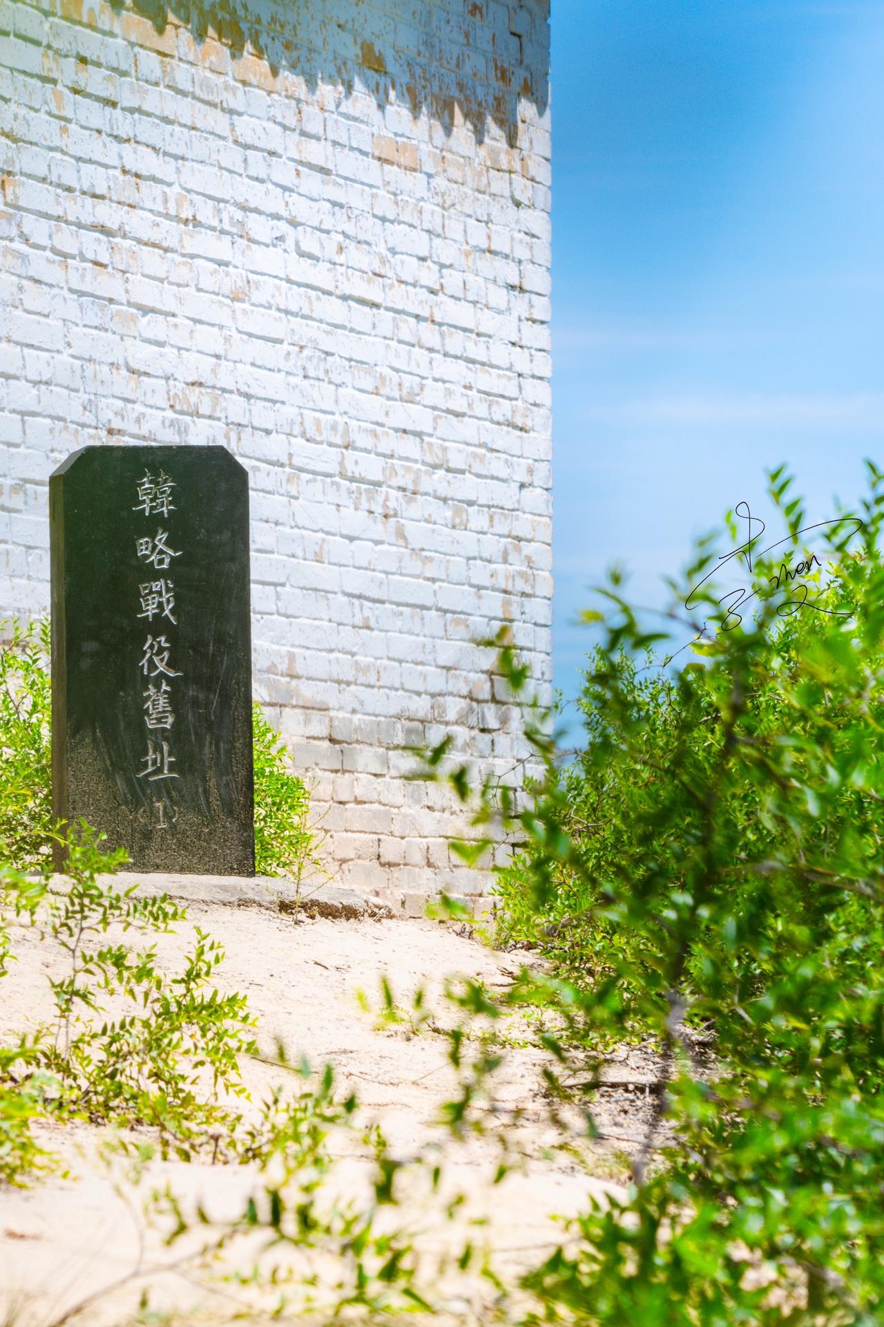 在烈士陵园门口遇见一棵树，直接把我钉在原地！抬头是沧桑，低头是新生…
头顶那枯枝