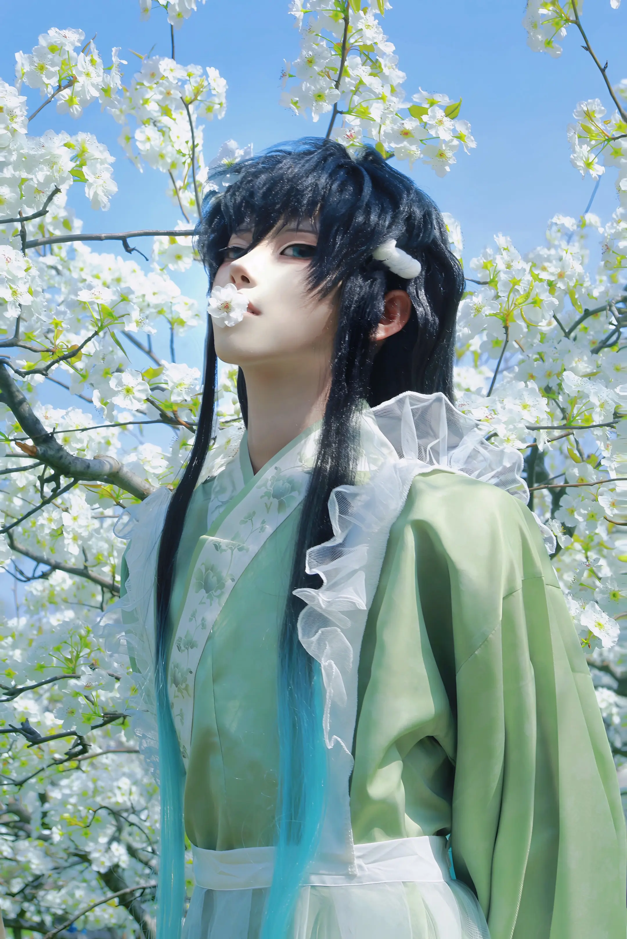 🍃 𖤣𖥧𖥣｡⋆˚( ၴႅၴ˖。