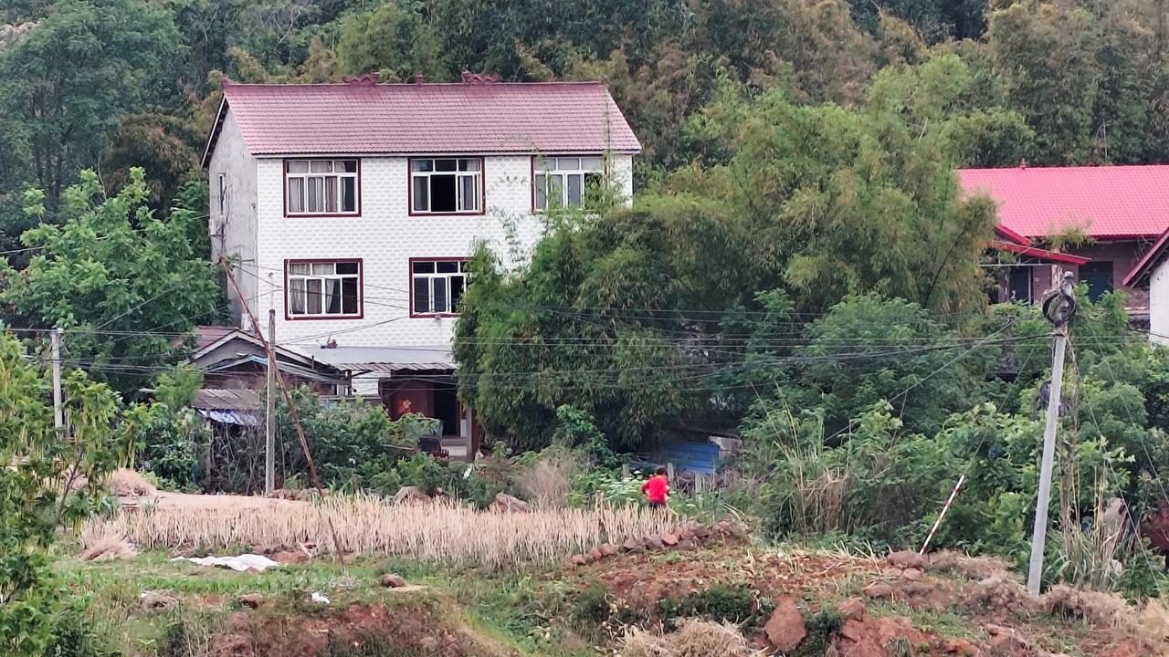 春耕生产开始了，田地里到处都是忙碌的人们！忙着收获，忙着下种！收获的是快乐，种下