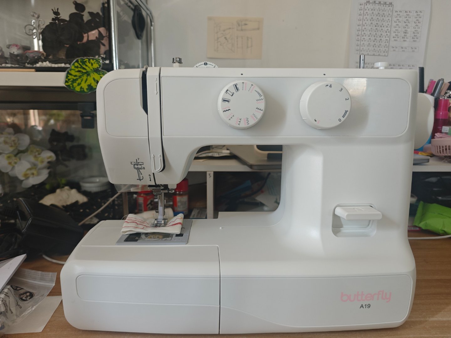 新玩具到了！ 