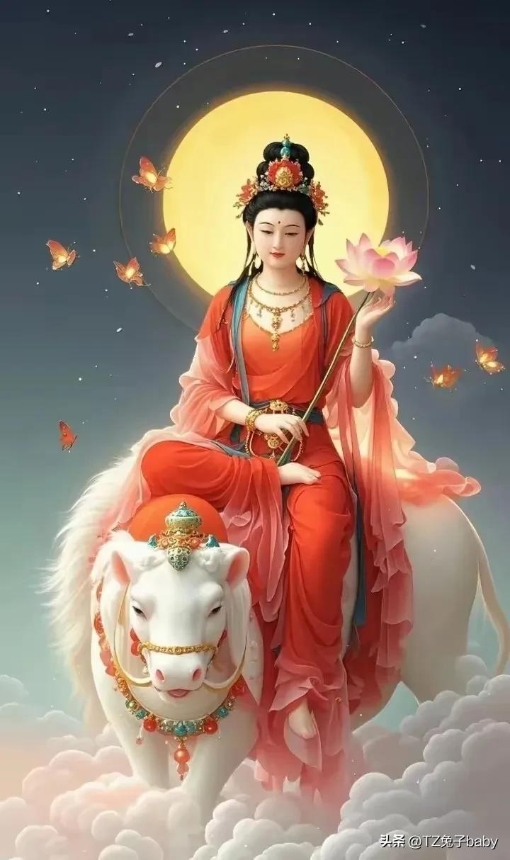 经典老人言
国败出妖，家败出娇。
好人争理，坏人争嘴。
一塘青草，岂无灵芝。
中